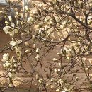 우리동내 이미지