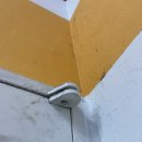 국가대표어린이수영클럽(마포) 이미지