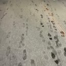 GS25적성사랑점 | SK네트웍스 Family AI 캠프 25기 | 3주차 회고 (feat. 1차 미니 프로젝트)