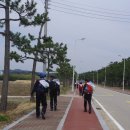 국토종단/제37구간＜동해안＞(월천유원지-신남해변)15/5/16.토 이미지