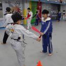 중앙태권도장 이미지