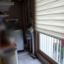 율전 공인중개사사무소 이미지