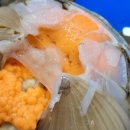 사계절꽃게 이미지