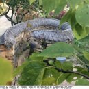 영월군청화장실 네이버블로그