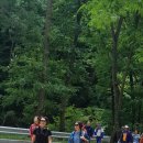 토지장터 이미지