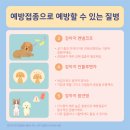 학익동물병원 이미지