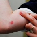 강앤정 동물병원 이미지