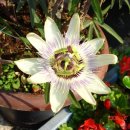 근혜농장 이미지