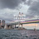 [와이홀릭 요트투어-부산 해운대 감성 만땅 선셋 요트투어 불꽃놀이 with더베이]