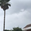 한원리경로당 | 제주 한경면 가볼만한 곳 더니어엘(the near L)