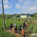 영흥면 면사무소 이미지