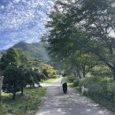 무릉도원면-42 이미지