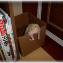 뽀스락뽀스락 이미지