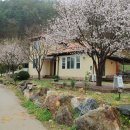 소법리 푸른밤 이미지