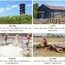 갯골생태공원 이미지