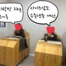 단디단디 이미지