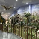 덕소자연사박물관 이미지