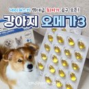 휴먼앤네이쳐 | [역대급 공구] 강아지 오메가3 추천 네이쳐스키 최저가 오픈
