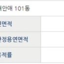 푸른중교 이미지