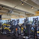 리얼짐 | 일곡동 헬스장 리얼짐 후기 pt 추천 - 하체, 등 운동