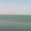 위드오션2 이미지