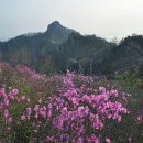 황봉농장 이미지