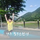 참조은펜션 | 계곡 수영장 찐 조합, 성주 참조은 펜션 솔직 후기