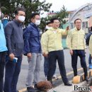 강진8호 브레이크뉴스