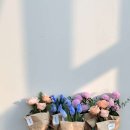 데이지데이플라워스튜디오 네이버블로그