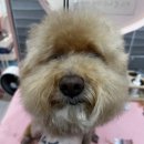 두꺼비로78번길(1-12) 이미지