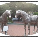 소청우체국 이미지