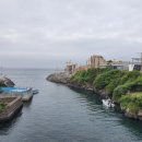 용연·용두암 이미지