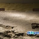 진주 가진리 새발자국과 공룡발자국 화석산지 이미지