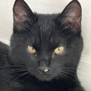 윤쌤동물병원 이미지