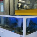 부평 회뜨는수산 이미지