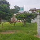 수완생태어린이집 이미지