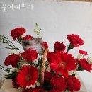 꽃 어여쁘다 이미지