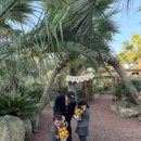 미영농장 이미지