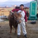 조련 카카오 검색결과