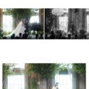 504 | 대전 본식스냅/ 룸 504/ room 504 계약후기/ 짝꿍 구함/ 추천인 코드