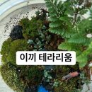 테라리움 클래스 이미지