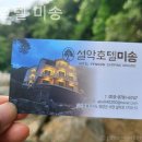 설악호텔 미송 이미지