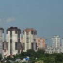 행정사사무소 설빛 이미지