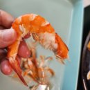 우정식품 | 노량진 우정수산 배달 맛집 : 국산 활새우, 꽃게, 대게, 회 후기