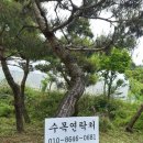 금반농장 이미지