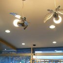 도그애견미용실 이미지