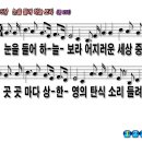하늘보라 티스토리