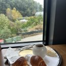 [25-3] 카페베이커리 | 용인 대형카페 아리랑도원 3대 베이커리카페 들기름소금빵 느끼후기