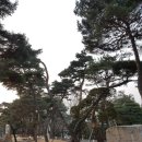 힐하우스 이미지