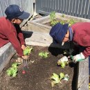 마리나뷰 이미지